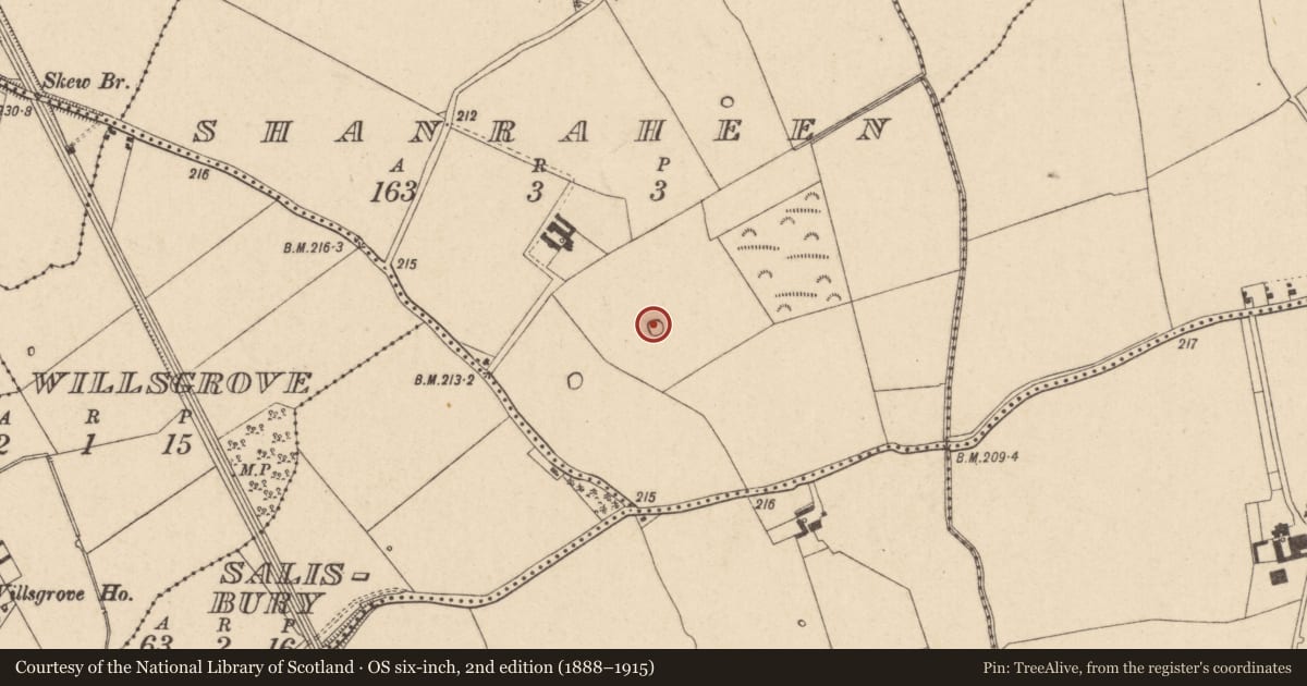 Ordnance Survey six-inch map, 2nd edition (1888–1915) covering the location of Enclosure, Shanraheen, County Kildare, with a pin at the register's coordinates