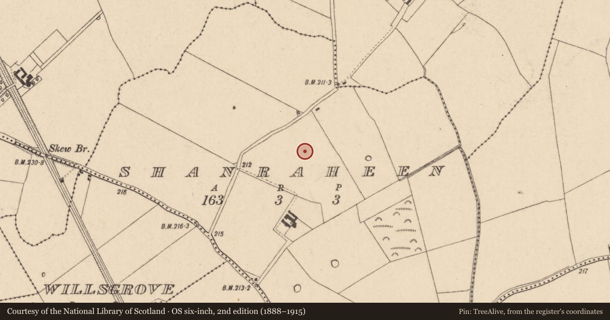 Ordnance Survey six-inch map, 2nd edition (1888–1915) covering the location of Enclosure, Shanraheen, County Kildare, with a pin at the register's coordinates