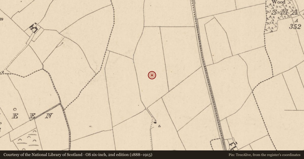 Ordnance Survey six-inch map, 2nd edition (1888–1915) covering the location of Concentric enclosure, Clogorrow, County Kildare, with a pin at the register's coordinates