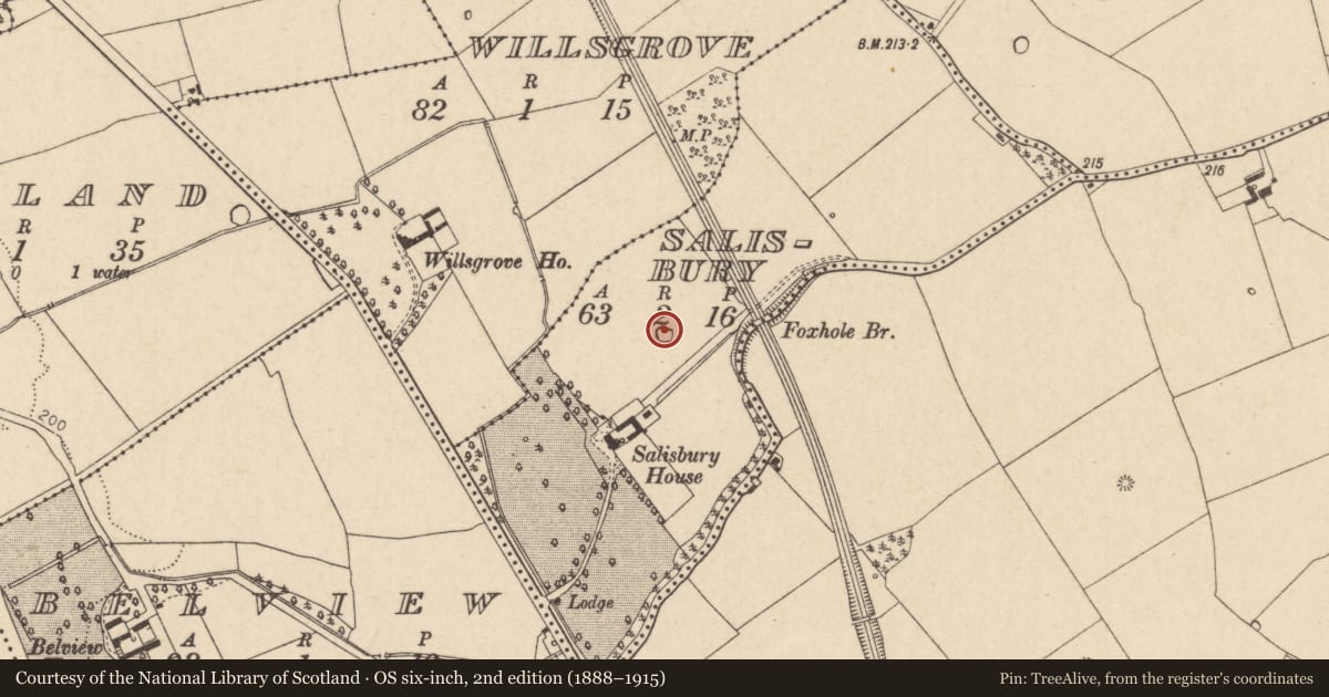 Ordnance Survey six-inch map, 2nd edition (1888–1915) covering the location of Barrow - unclassified, Salisbury, County Kildare, with a pin at the register's coordinates