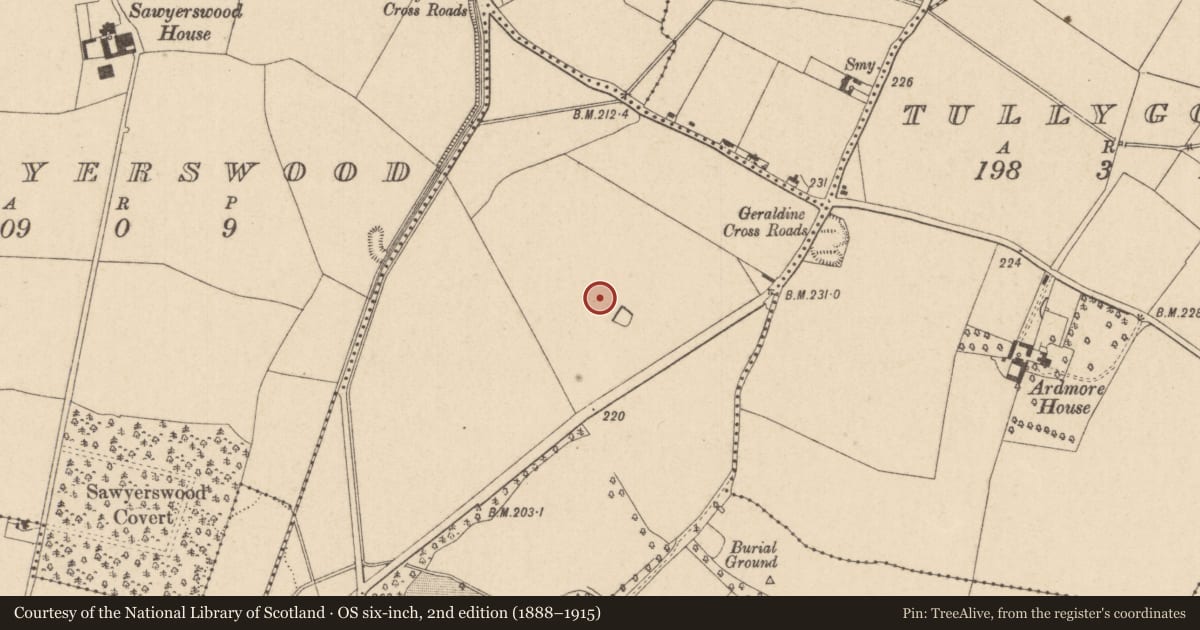 Ordnance Survey six-inch map, 2nd edition (1888–1915) covering the location of Barrow - ring-barrow, Geraldine, County Kildare, with a pin at the register's coordinates