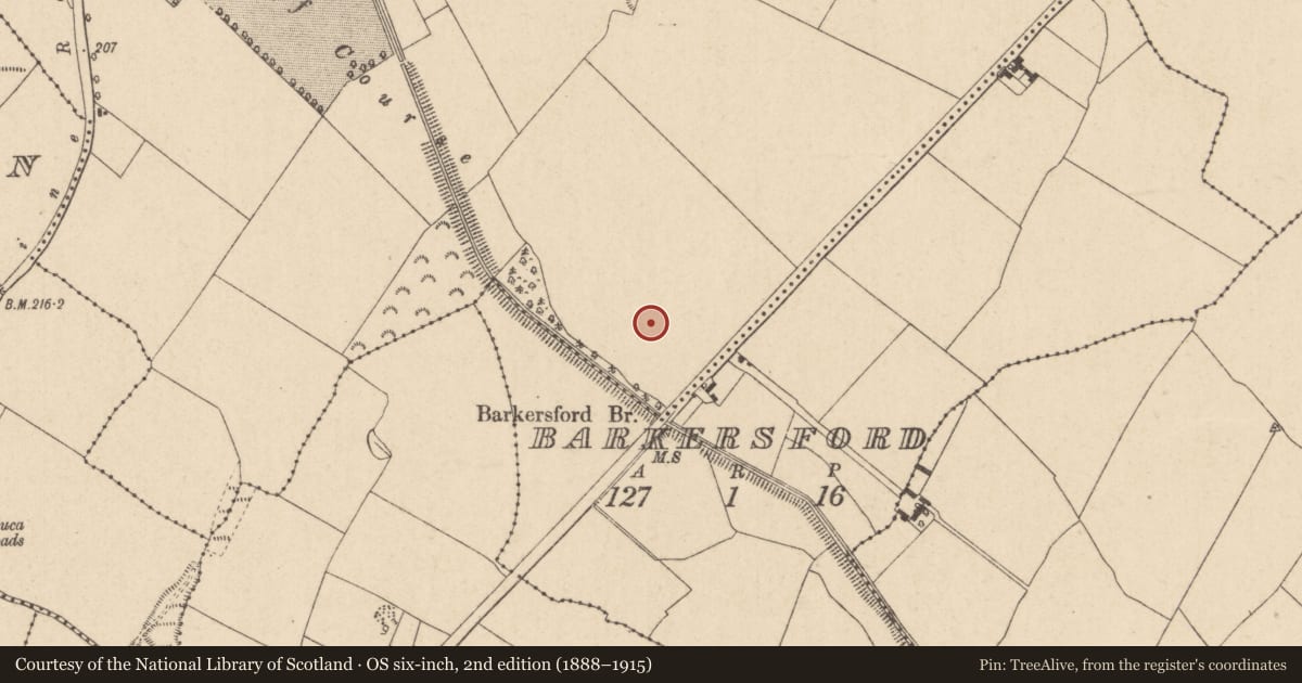 Ordnance Survey six-inch map, 2nd edition (1888–1915) covering the location of Barrow - ring-barrow, Geraldine, County Kildare, with a pin at the register's coordinates