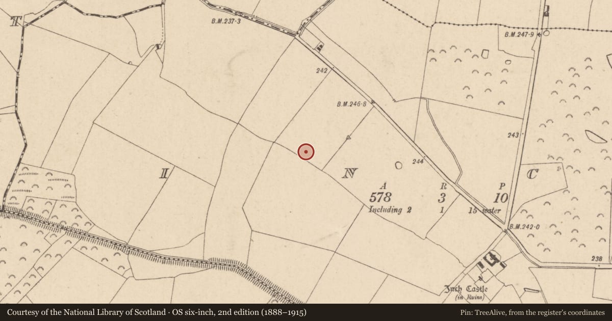 Ordnance Survey six-inch map, 2nd edition (1888–1915) covering the location of Enclosure, Inch, County Kildare, with a pin at the register's coordinates