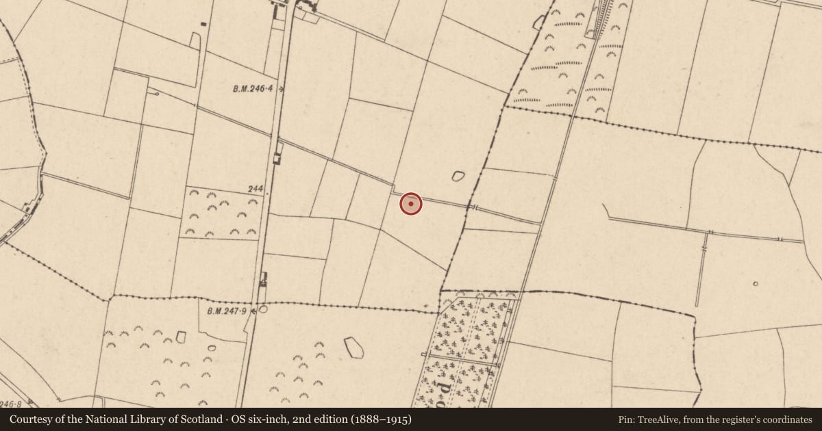Ordnance Survey six-inch map, 2nd edition (1888–1915) covering the location of Enclosure, Inch, County Kildare, with a pin at the register's coordinates