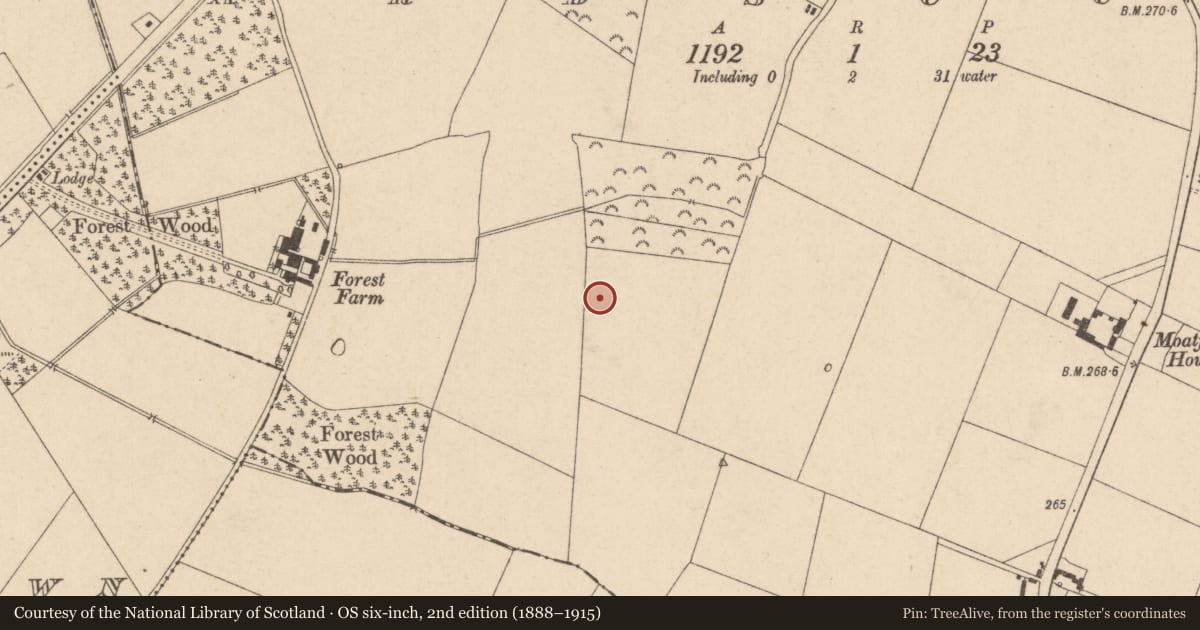 Ordnance Survey six-inch map, 2nd edition (1888–1915) covering the location of Enclosure, Ardscull, County Kildare, with a pin at the register's coordinates