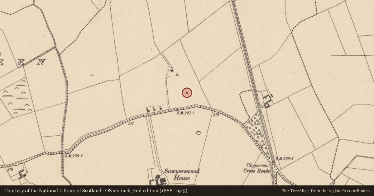 Ordnance Survey six-inch map, 2nd edition (1888–1915) covering the location of Enclosure - large enclosure, Clogorrow, County Kildare, with a pin at the register's coordinates