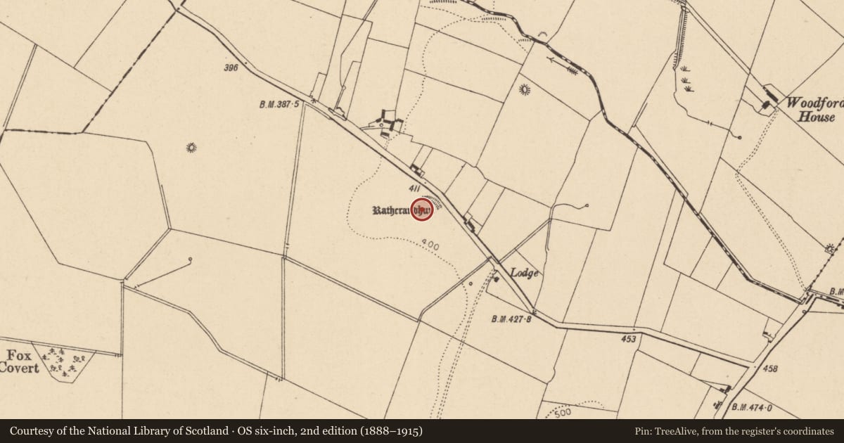 Ordnance Survey six-inch map, 2nd edition (1888–1915) covering the location of Ringfort - rath, Mullamast, County Kildare, with a pin at the register's coordinates