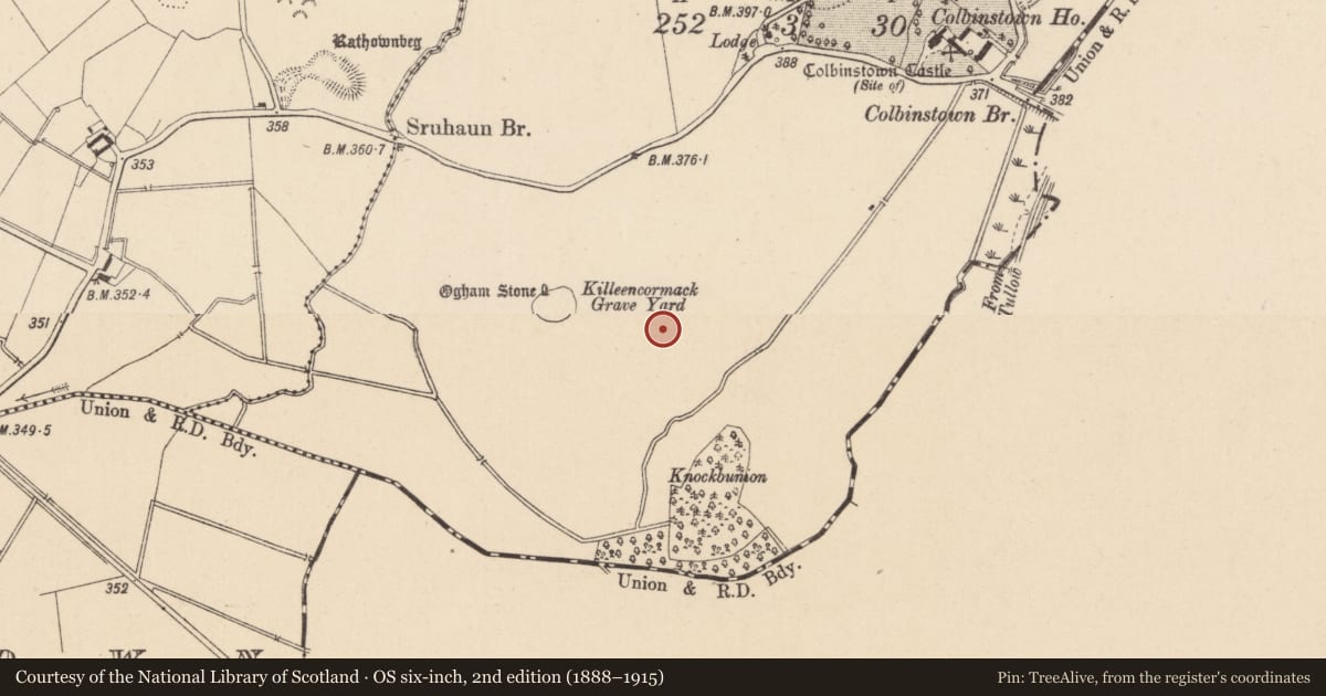 Ordnance Survey six-inch map, 2nd edition (1888–1915) covering the location of Earthwork, Colbinstown, County Kildare, with a pin at the register's coordinates