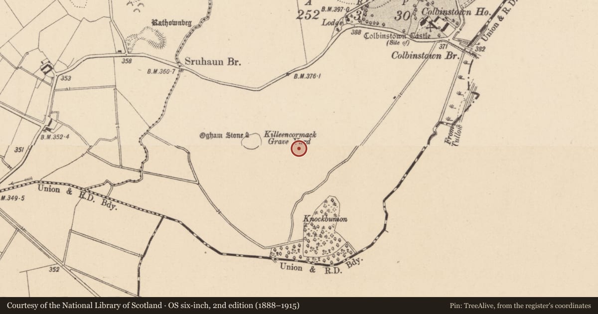 Ordnance Survey six-inch map, 2nd edition (1888–1915) covering the location of Castle - unclassified, Colbinstown, County Kildare, with a pin at the register's coordinates
