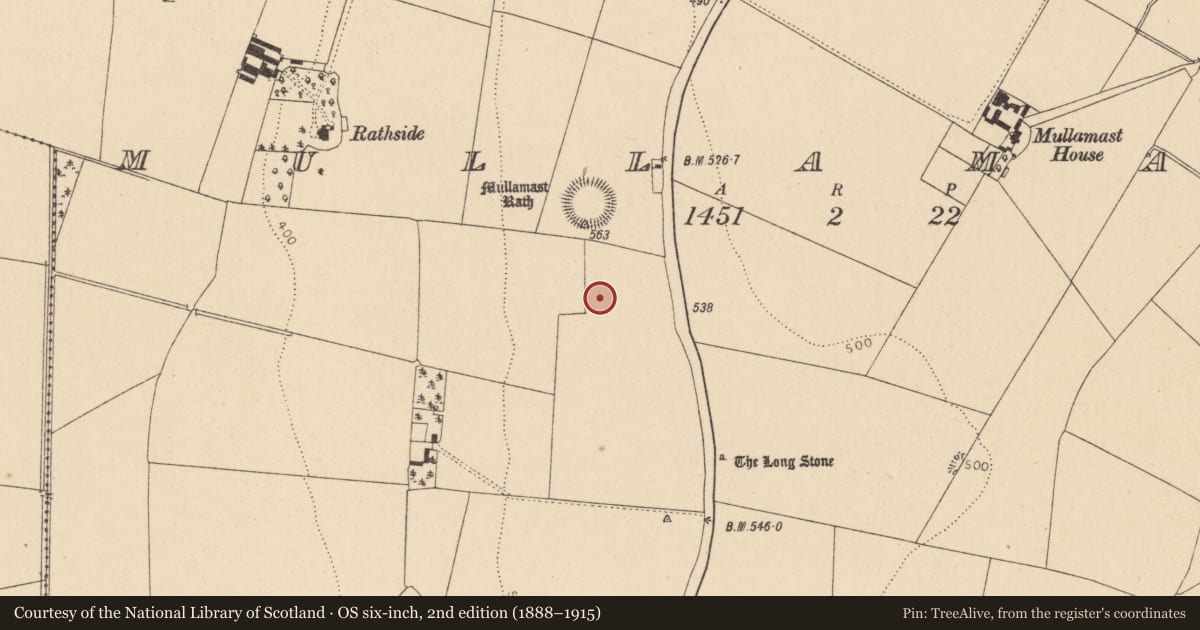 Ordnance Survey six-inch map, 2nd edition (1888–1915) covering the location of Enclosure, Mullamast, County Kildare, with a pin at the register's coordinates