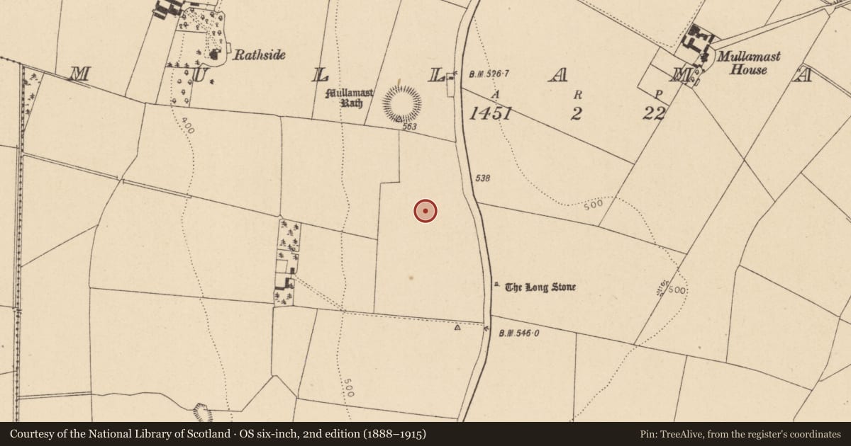 Ordnance Survey six-inch map, 2nd edition (1888–1915) covering the location of Barrow - unclassified, Mullamast, County Kildare, with a pin at the register's coordinates