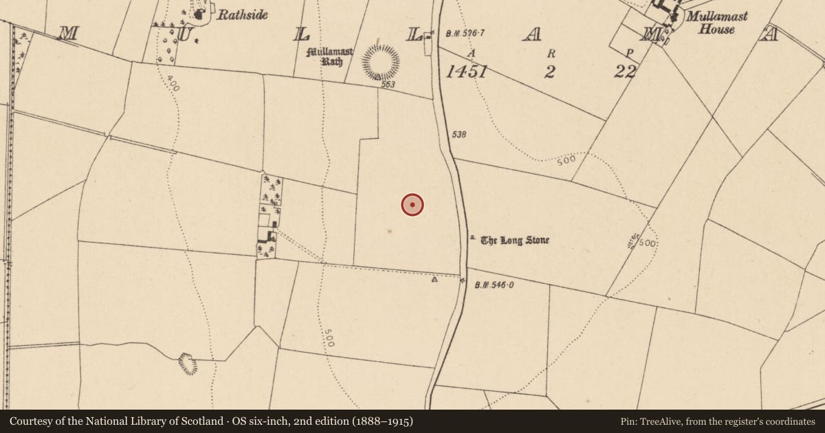 Ordnance Survey six-inch map, 2nd edition (1888–1915) covering the location of Barrow - unclassified, Mullamast, County Kildare, with a pin at the register's coordinates