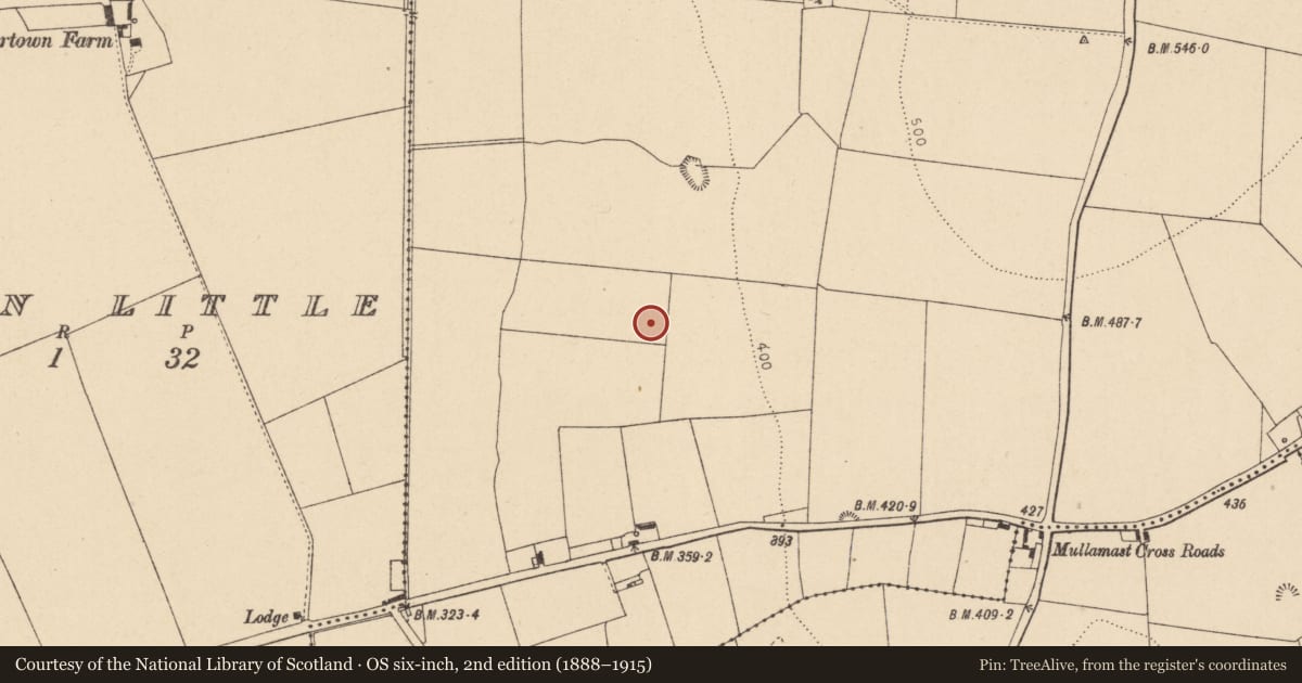 Ordnance Survey six-inch map, 2nd edition (1888–1915) covering the location of Cist, Mullamast, County Kildare, with a pin at the register's coordinates