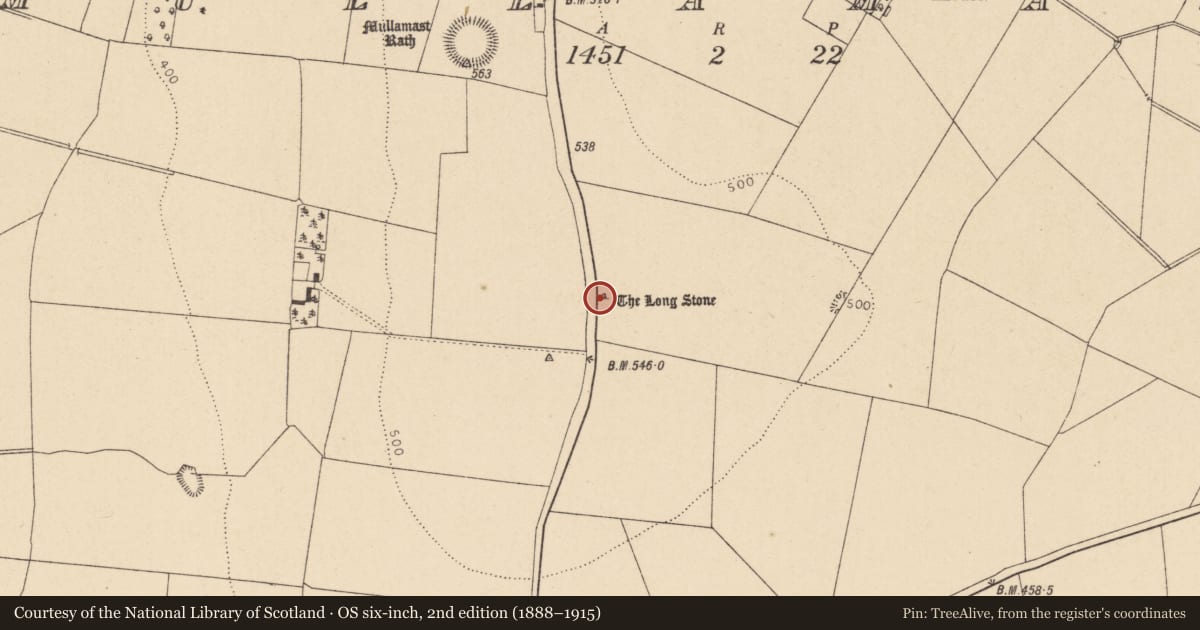 Ordnance Survey six-inch map, 2nd edition (1888–1915) covering the location of Standing stone (present location), Mullamast, County Kildare, with a pin at the register's coordinates