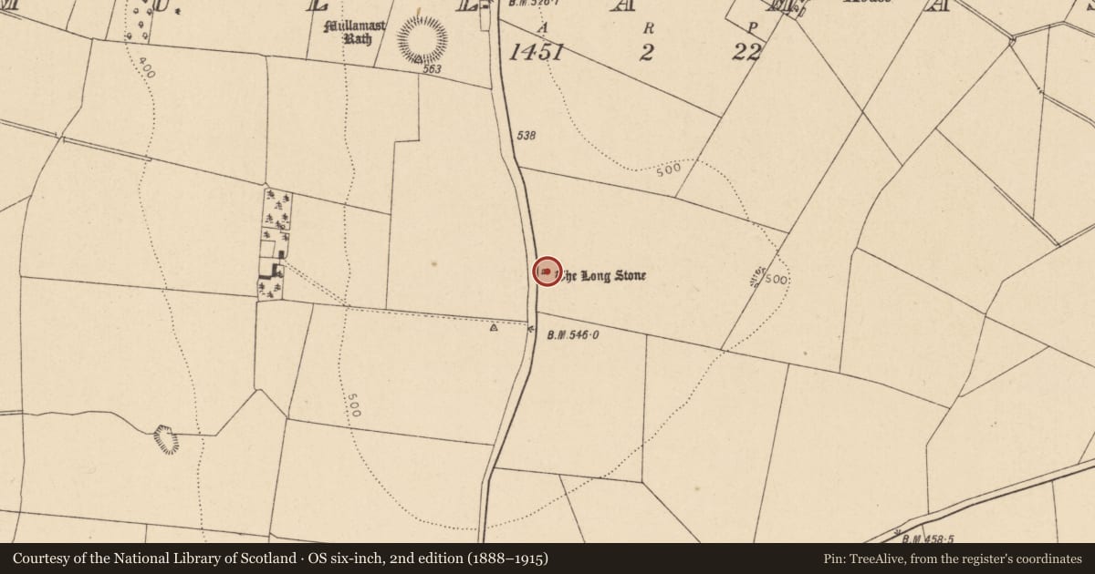 Ordnance Survey six-inch map, 2nd edition (1888–1915) covering the location of Standing stone, Mullamast, County Kildare, with a pin at the register's coordinates