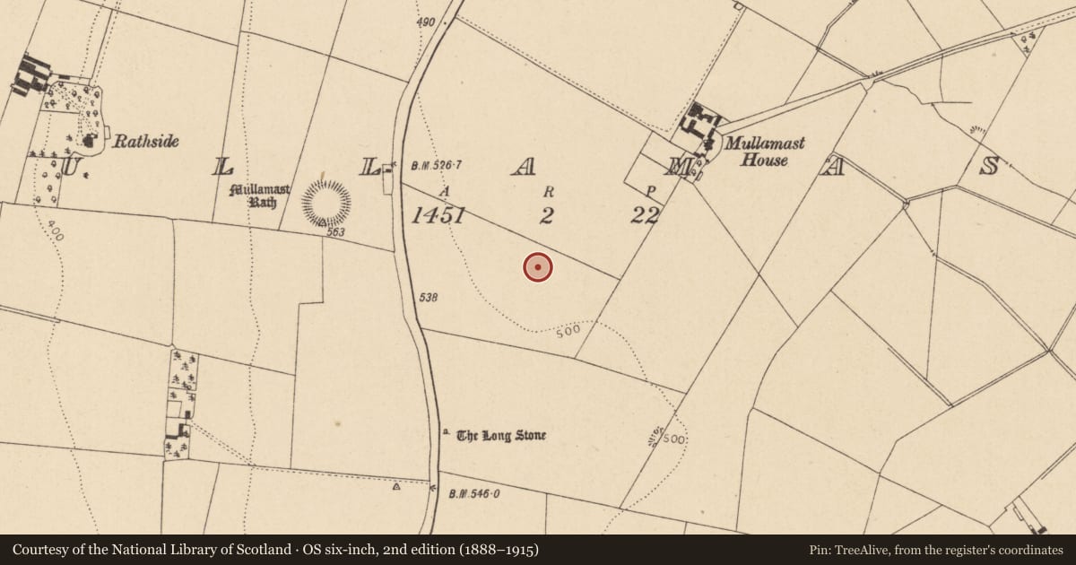 Ordnance Survey six-inch map, 2nd edition (1888–1915) covering the location of Enclosure, Mullamast, County Kildare, with a pin at the register's coordinates