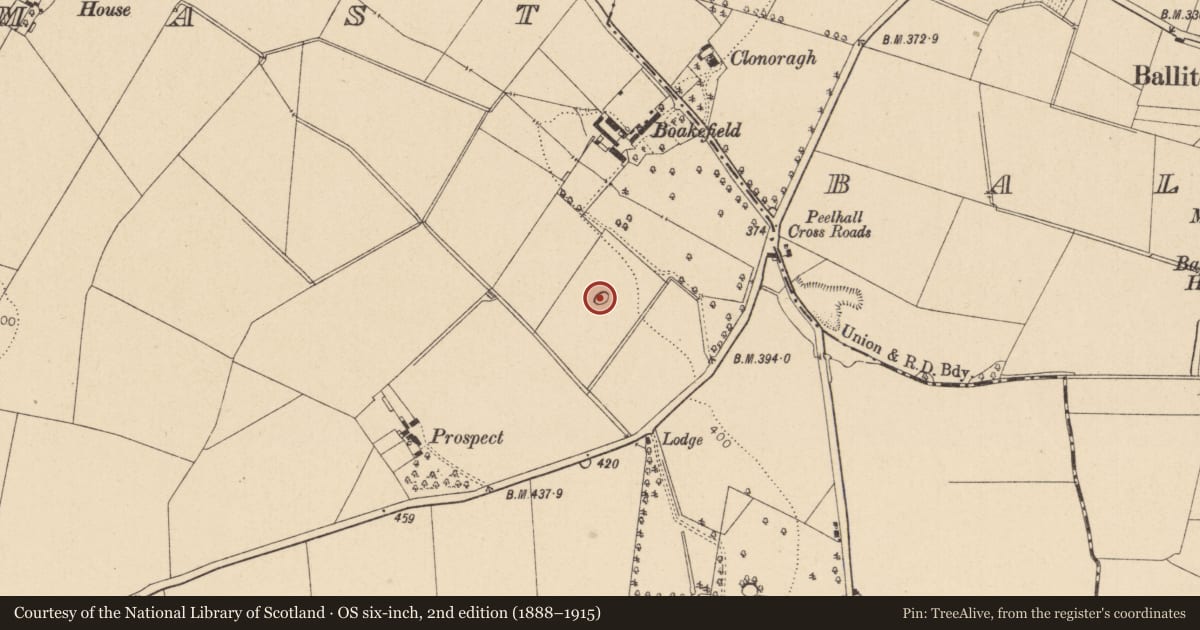Ordnance Survey six-inch map, 2nd edition (1888–1915) covering the location of Enclosure, Mullamast, County Kildare, with a pin at the register's coordinates