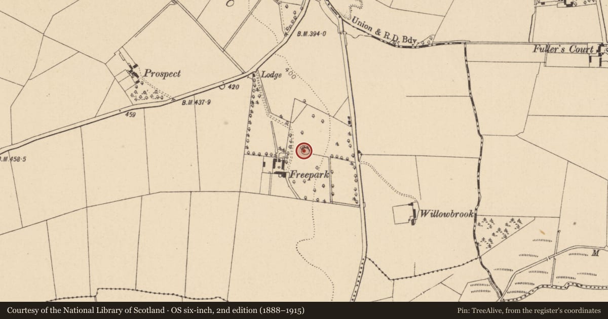 Ordnance Survey six-inch map, 2nd edition (1888–1915) covering the location of Enclosure, Mullamast, County Kildare, with a pin at the register's coordinates
