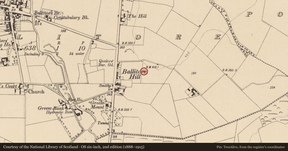 Ordnance Survey six-inch map, 2nd edition (1888–1915) covering the location of House - medieval, Ballitore, County Kildare, with a pin at the register's coordinates