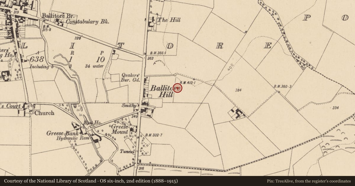 Ordnance Survey six-inch map, 2nd edition (1888–1915) covering the location of House - medieval, Ballitore, County Kildare, with a pin at the register's coordinates