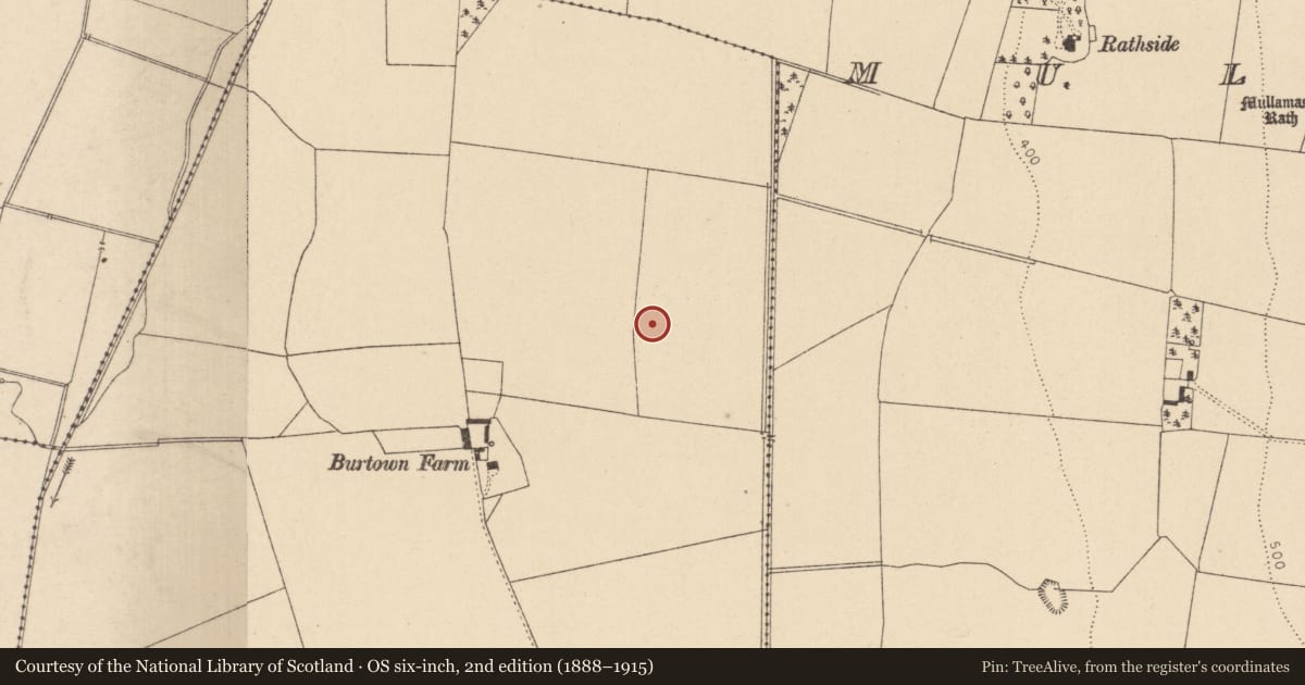 Ordnance Survey six-inch map, 2nd edition (1888–1915) covering the location of Moated site, Burtown Little, County Kildare, with a pin at the register's coordinates