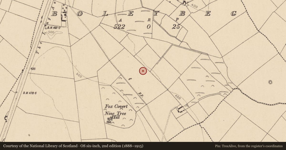 Ordnance Survey six-inch map, 2nd edition (1888–1915) covering the location of Moated site, Boleybeg, County Kildare, with a pin at the register's coordinates