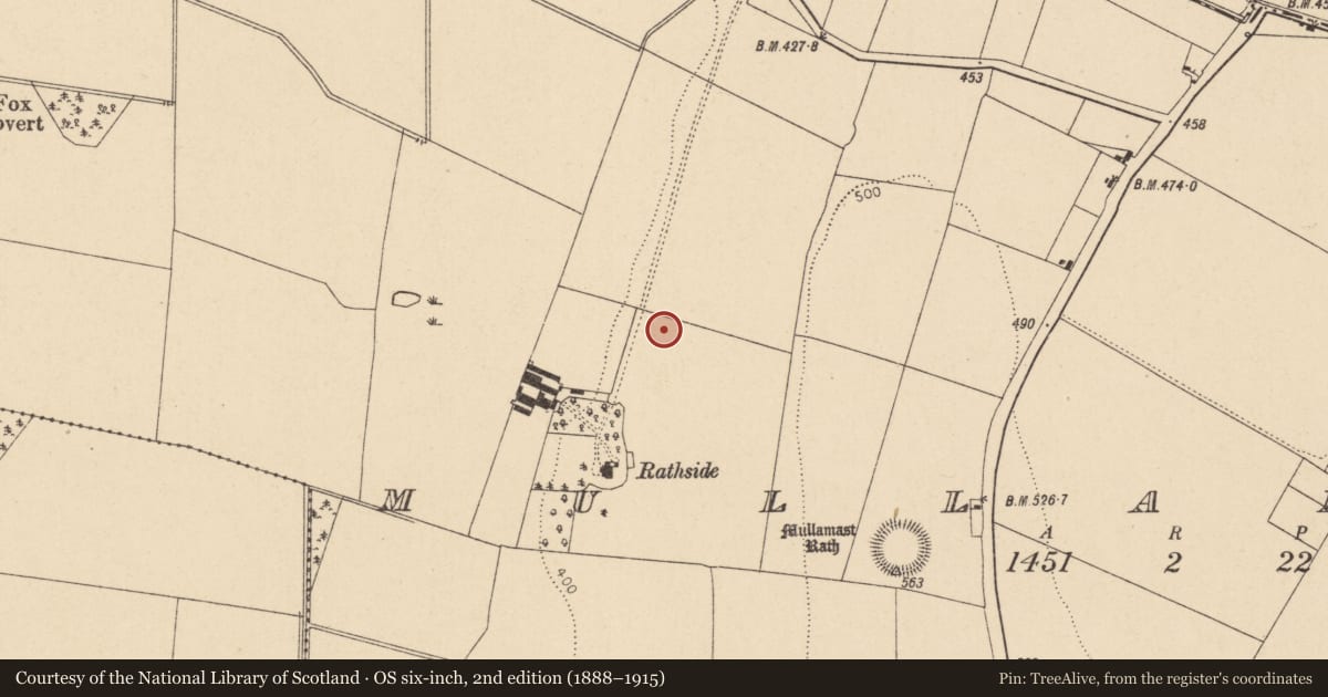 Ordnance Survey six-inch map, 2nd edition (1888–1915) covering the location of Enclosure, Mullamast, County Kildare, with a pin at the register's coordinates