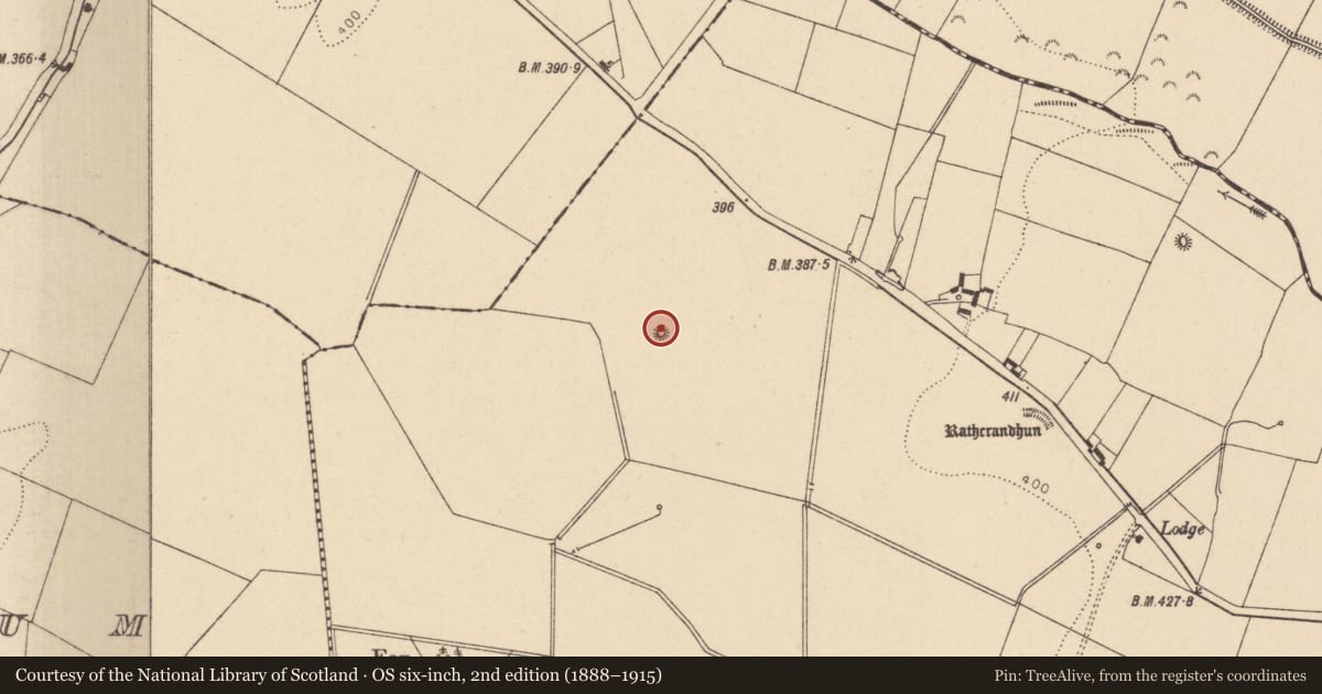 Ordnance Survey six-inch map, 2nd edition (1888–1915) covering the location of Quarry, Mullamast, County Kildare, with a pin at the register's coordinates