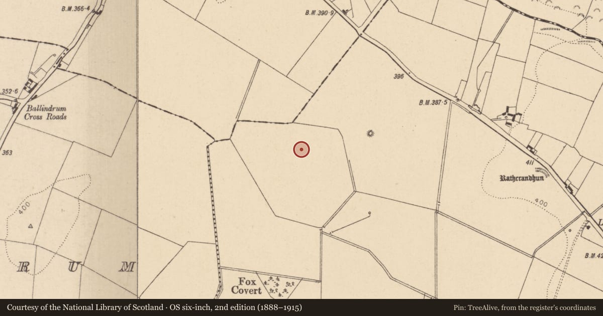 Ordnance Survey six-inch map, 2nd edition (1888–1915) covering the location of Building, Mullamast, County Kildare, with a pin at the register's coordinates