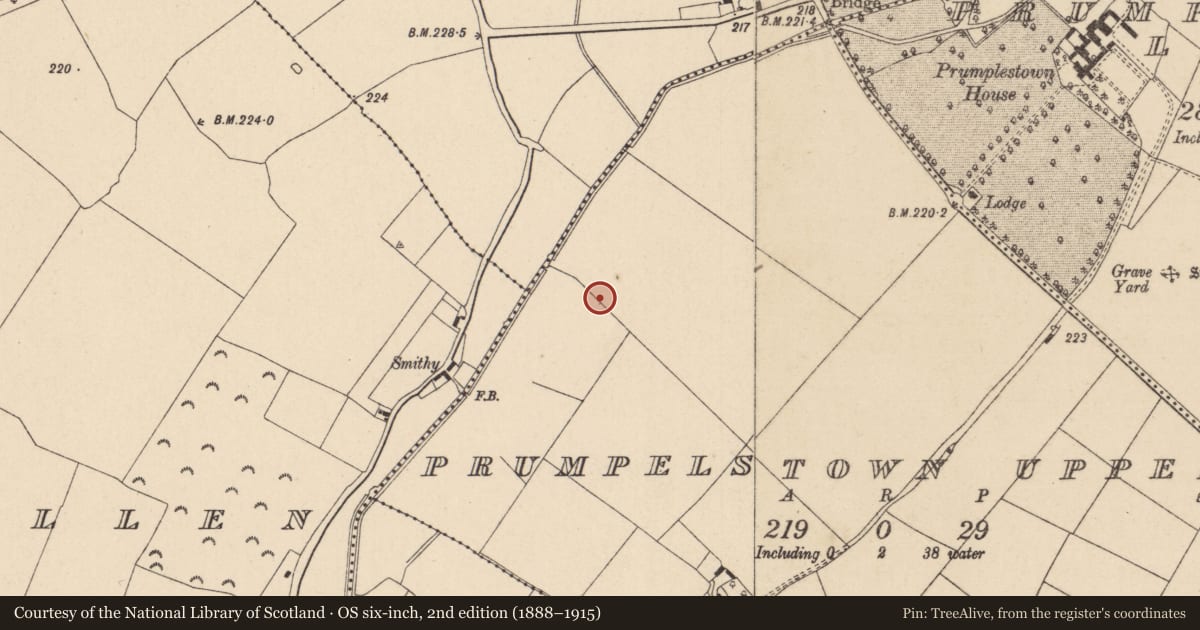 Ordnance Survey six-inch map, 2nd edition (1888–1915) covering the location of Enclosure, Prumpelstown Upper, County Kildare, with a pin at the register's coordinates