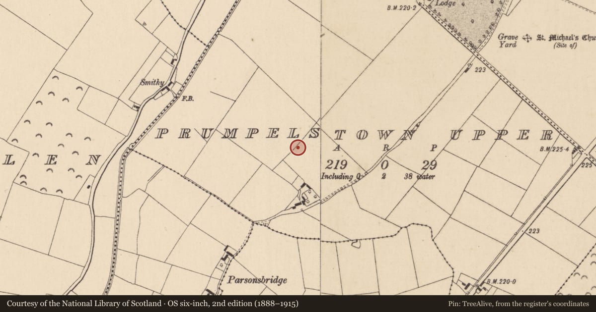Ordnance Survey six-inch map, 2nd edition (1888–1915) covering the location of Enclosure, Prumpelstown Upper, County Kildare, with a pin at the register's coordinates