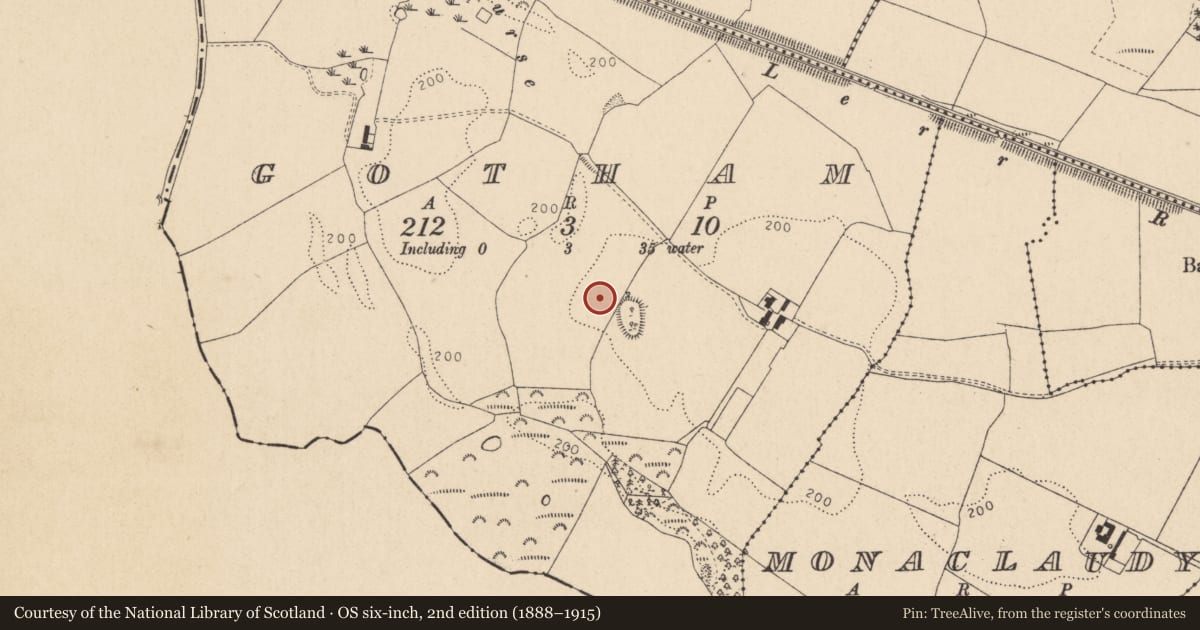 Ordnance Survey six-inch map, 2nd edition (1888–1915) covering the location of Enclosure, Gotham, County Kildare, with a pin at the register's coordinates