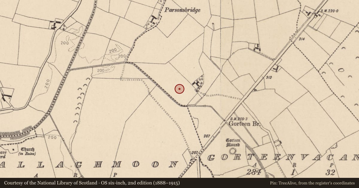 Ordnance Survey six-inch map, 2nd edition (1888–1915) covering the location of Enclosure, Gorteenvacan, County Kildare, with a pin at the register's coordinates