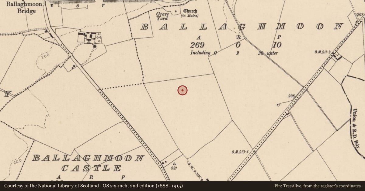 Ordnance Survey six-inch map, 2nd edition (1888–1915) covering the location of Ring-ditch, Ballaghmoon, County Kildare, with a pin at the register's coordinates