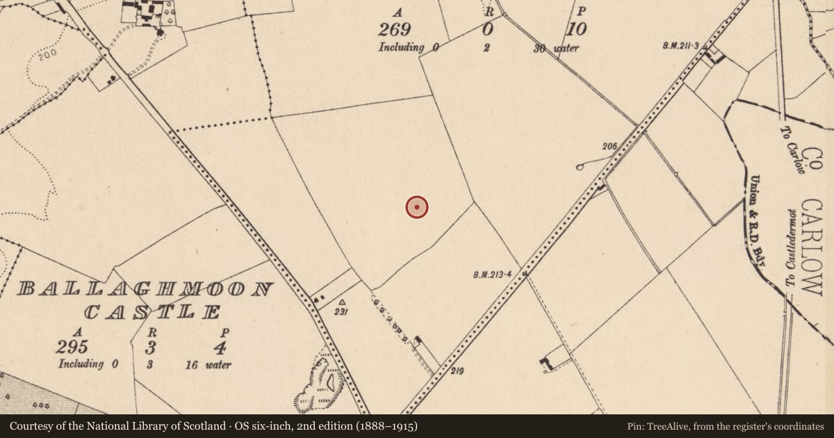 Ordnance Survey six-inch map, 2nd edition (1888–1915) covering the location of Ring-ditch, Ballaghmoon, County Kildare, with a pin at the register's coordinates