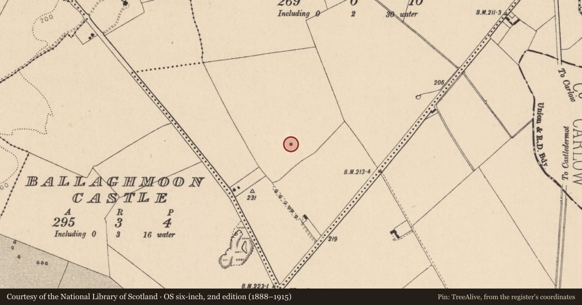 Ordnance Survey six-inch map, 2nd edition (1888–1915) covering the location of Ring-ditch, Ballaghmoon, County Kildare, with a pin at the register's coordinates