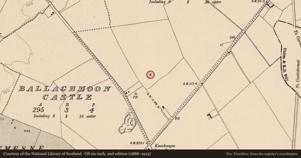 Ordnance Survey six-inch map, 2nd edition (1888–1915) covering the location of Ring-ditch, Ballaghmoon, County Kildare, with a pin at the register's coordinates