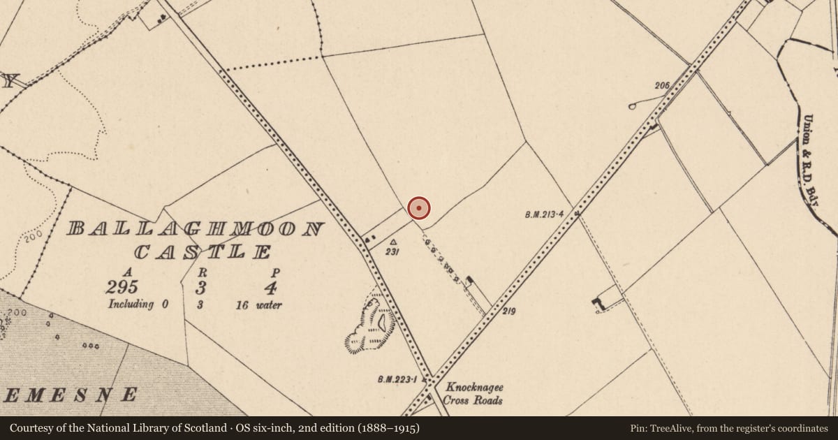 Ordnance Survey six-inch map, 2nd edition (1888–1915) covering the location of Ring-ditch, Ballaghmoon, County Kildare, with a pin at the register's coordinates