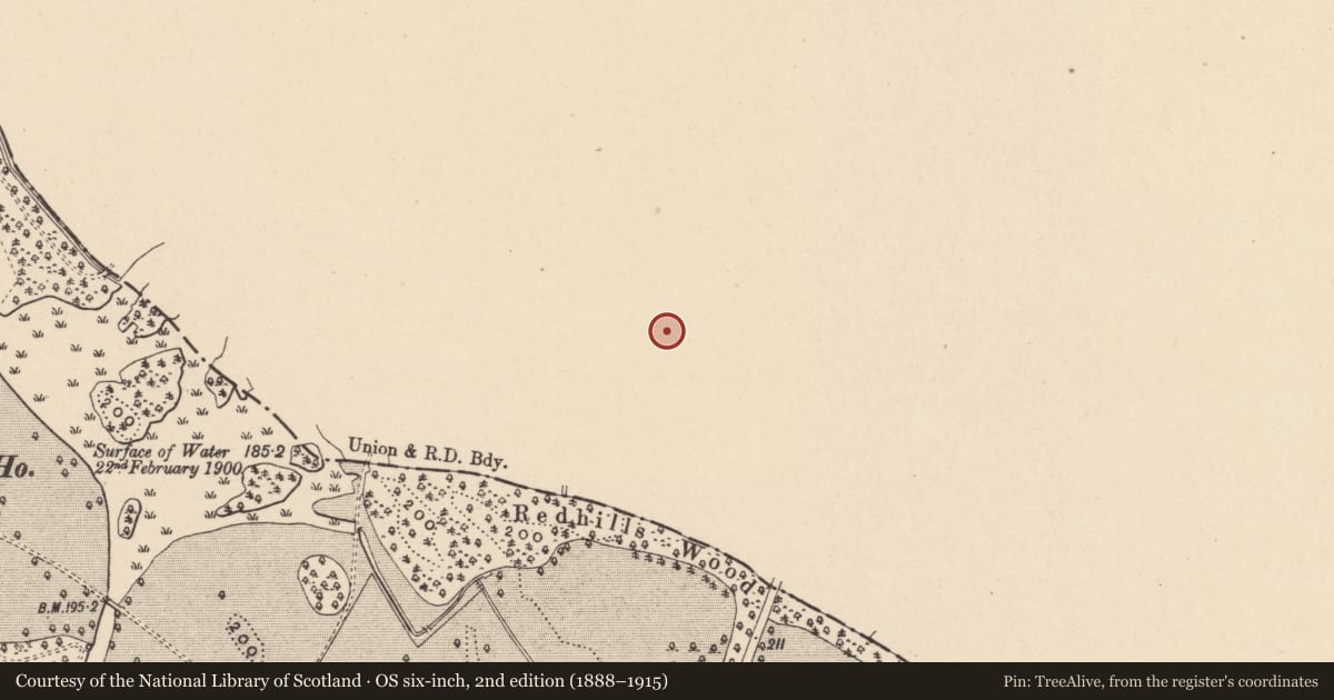 Ordnance Survey six-inch map, 2nd edition (1888–1915) covering the location of Enclosure, Ballaghmoon Castle, County Kildare, with a pin at the register's coordinates
