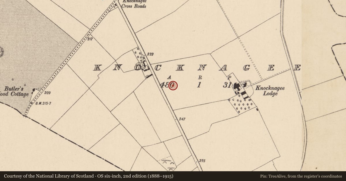 Ordnance Survey six-inch map, 2nd edition (1888–1915) covering the location of Enclosure, Knocknagee, County Kildare, with a pin at the register's coordinates
