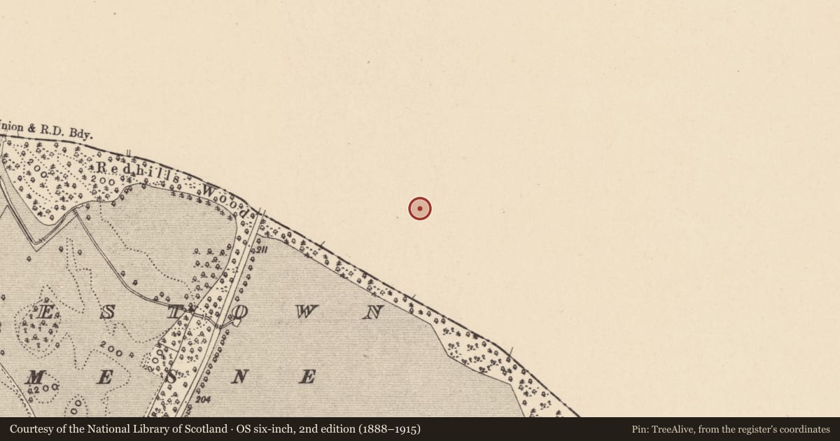 Ordnance Survey six-inch map, 2nd edition (1888–1915) covering the location of Field system, Knocknagee, County Kildare, with a pin at the register's coordinates