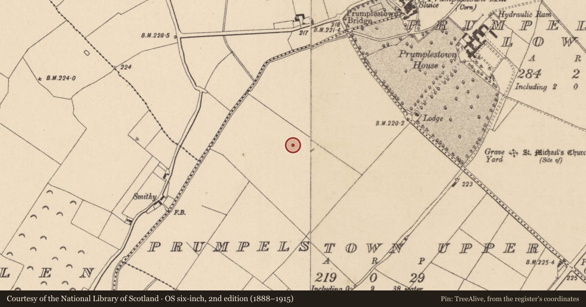 Ordnance Survey six-inch map, 2nd edition (1888–1915) covering the location of Road - road/trackway, Prumpelstown Upper, County Kildare, with a pin at the register's coordinates