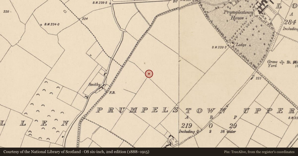 Ordnance Survey six-inch map, 2nd edition (1888–1915) covering the location of Enclosure, Prumpelstown Upper, County Kildare, with a pin at the register's coordinates