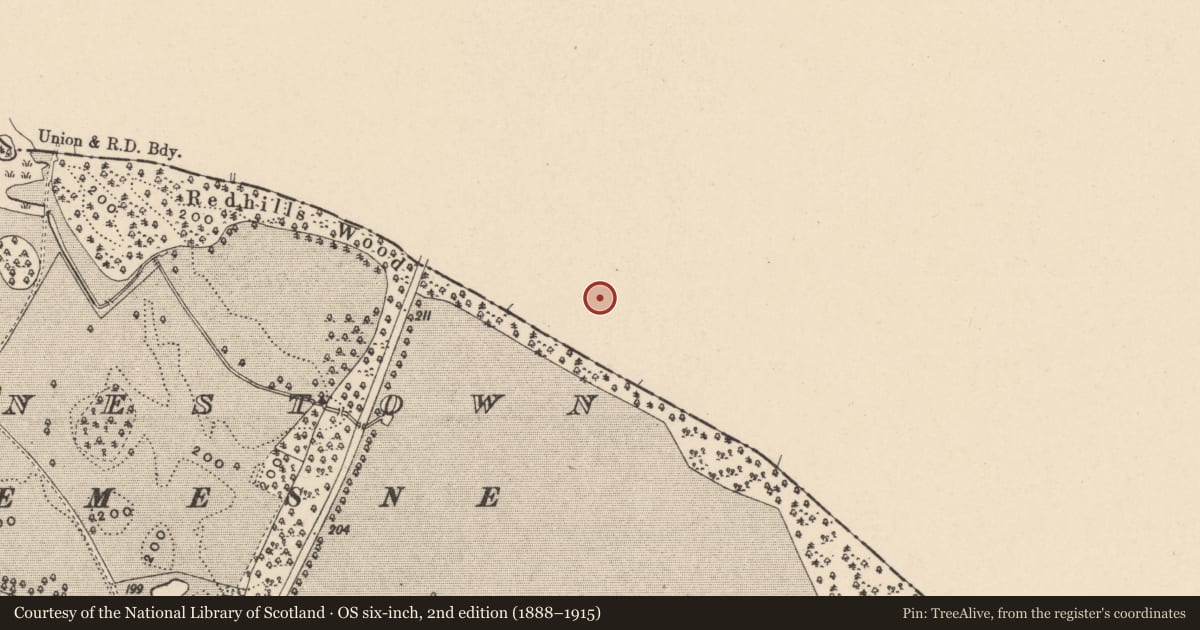 Ordnance Survey six-inch map, 2nd edition (1888–1915) covering the location of Field system, Knocknagee, County Kildare, with a pin at the register's coordinates