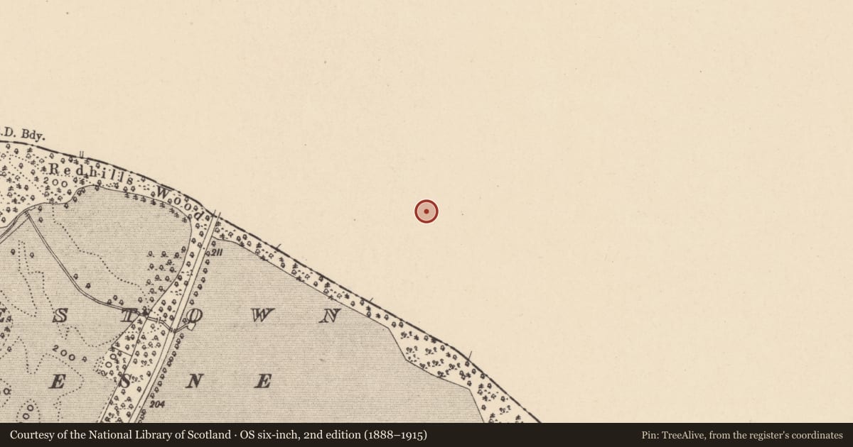 Ordnance Survey six-inch map, 2nd edition (1888–1915) covering the location of Road - road/trackway, Knocknagee, County Kildare, with a pin at the register's coordinates