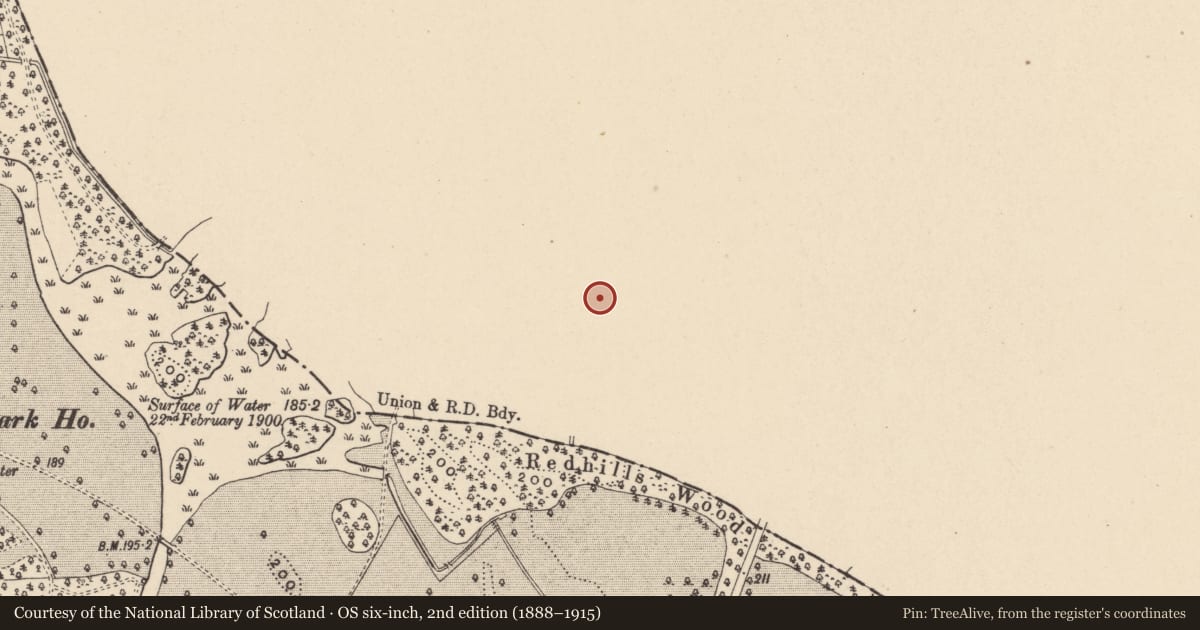 Ordnance Survey six-inch map, 2nd edition (1888–1915) covering the location of Road - road/trackway, Ballaghmoon Castle, County Kildare, with a pin at the register's coordinates