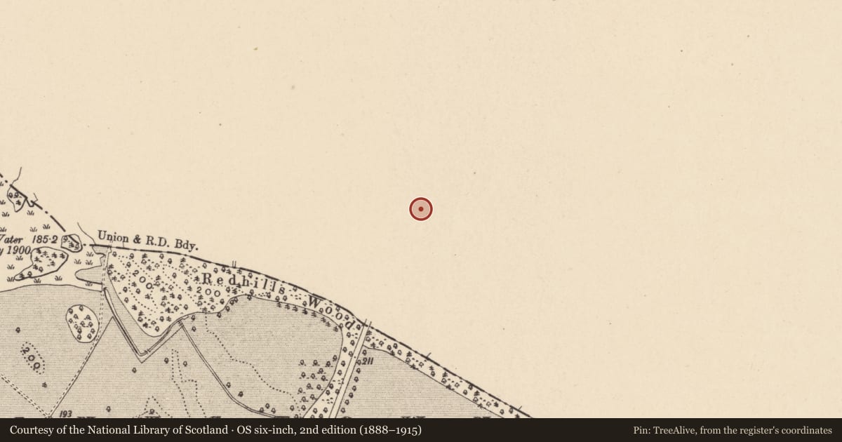 Ordnance Survey six-inch map, 2nd edition (1888–1915) covering the location of Field system, Ballaghmoon Castle, Knocknagee, County Kildare, with a pin at the register's coordinates