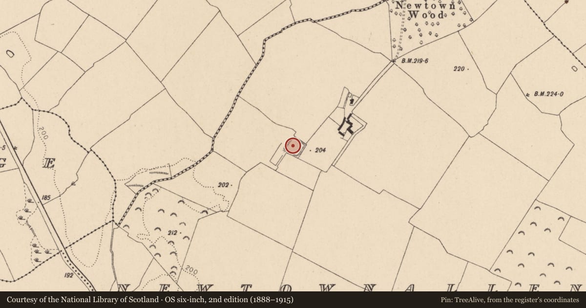 Ordnance Survey six-inch map, 2nd edition (1888–1915) covering the location of Enclosure, Newtownallen, County Kildare, with a pin at the register's coordinates