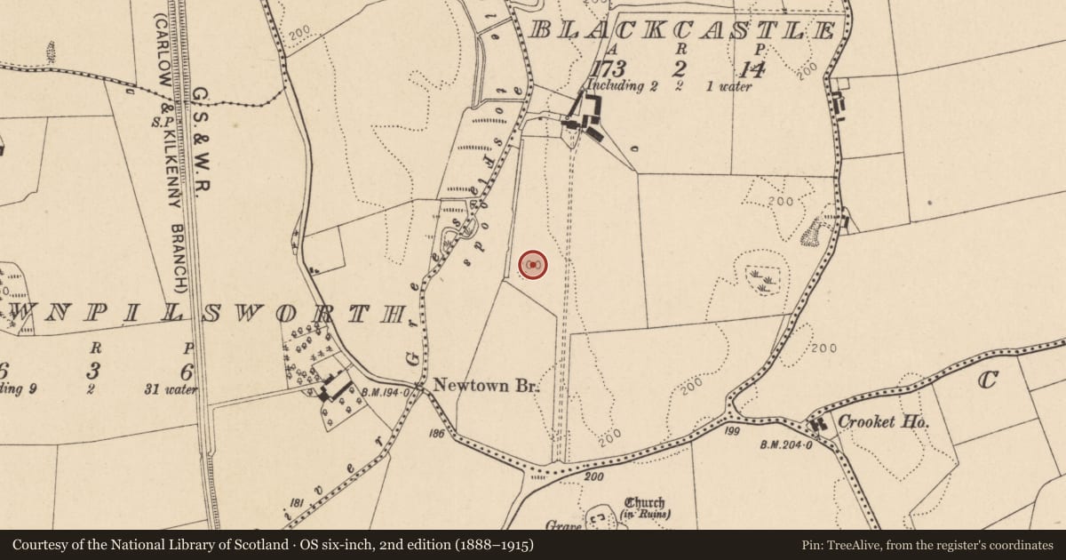 Ordnance Survey six-inch map, 2nd edition (1888–1915) covering the location of Enclosure, Blackcastle, County Kildare, with a pin at the register's coordinates