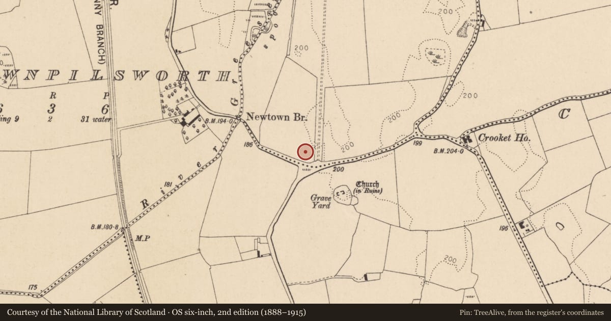 Ordnance Survey six-inch map, 2nd edition (1888–1915) covering the location of Road - road/trackway, Blackcastle, County Kildare, with a pin at the register's coordinates